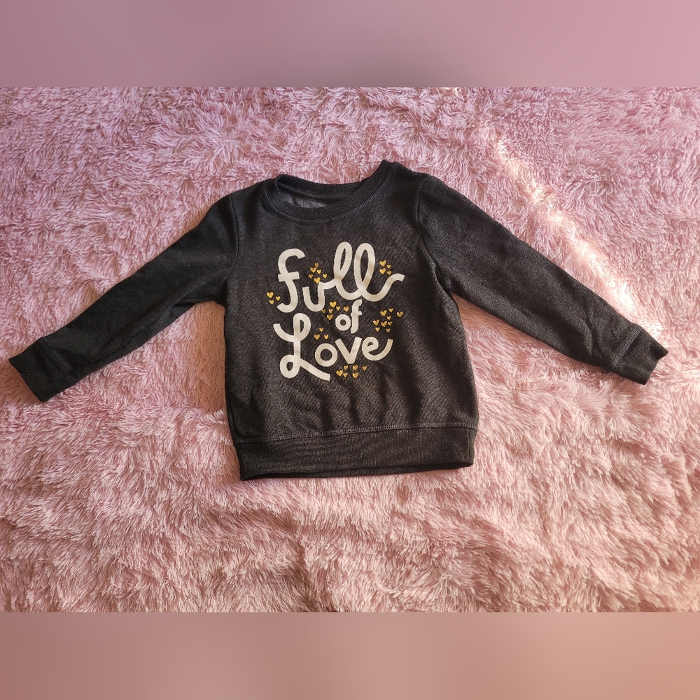 Toddler Fleece Pullover Sweatshirt 4T